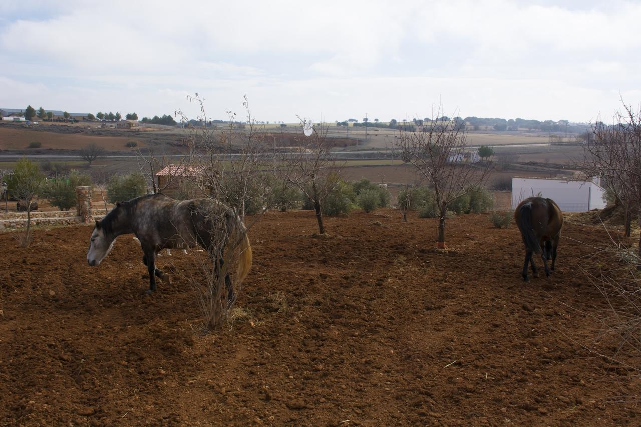 El Retiro De Cervantes Ossa de Montiel Exterior foto